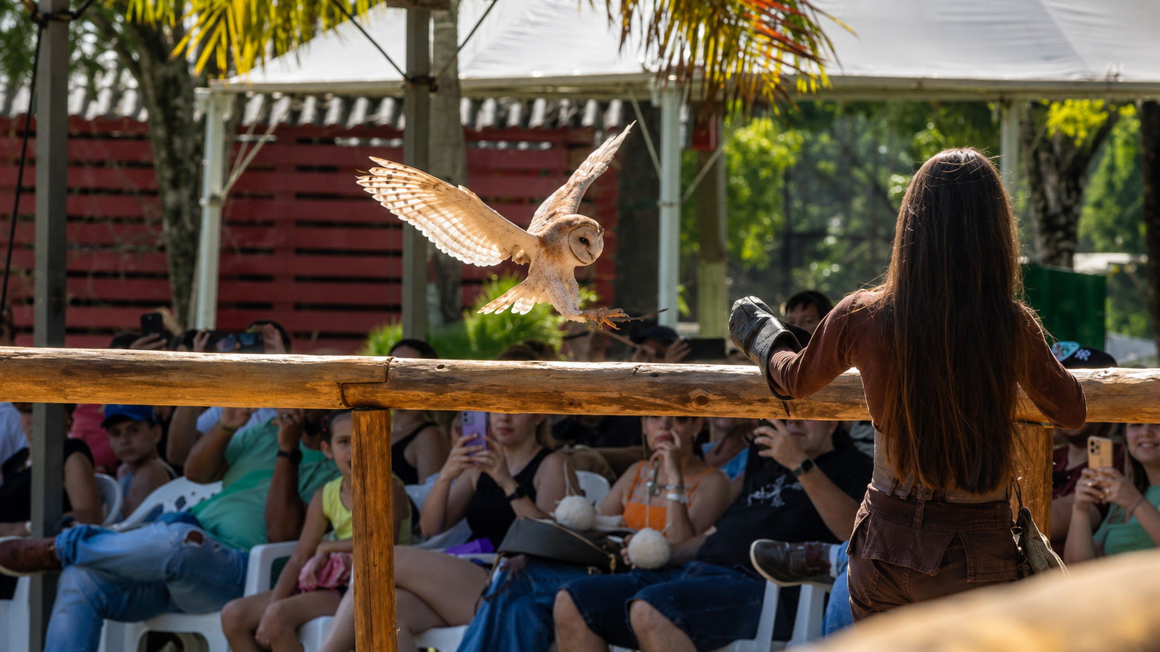 Imagem de Zoo Park Foz