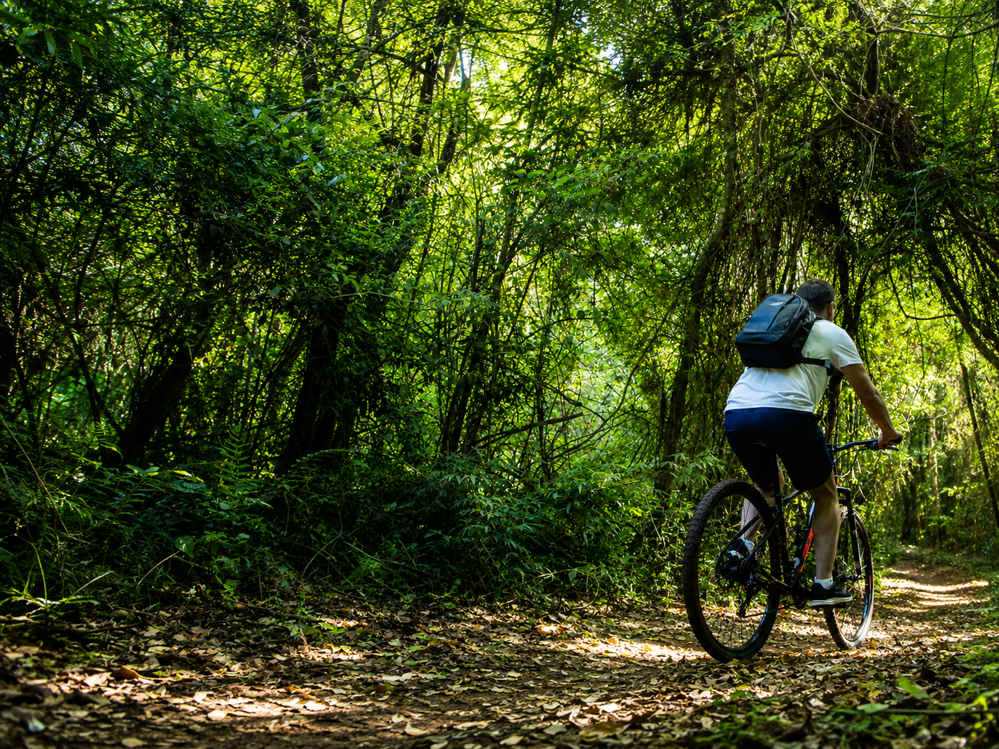 Imagem de Bike Poço Preto